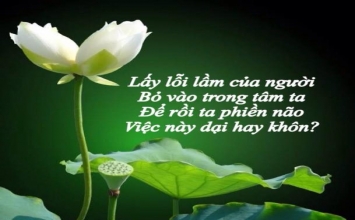 Lời hay ý đẹp..